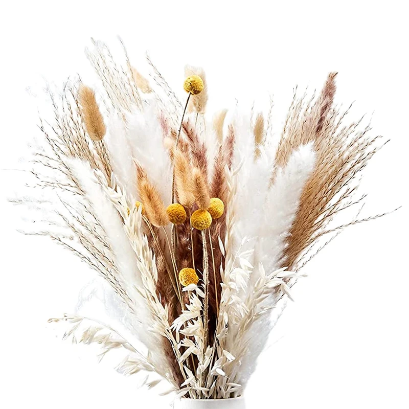 

Пампасная трава сушеные пампасы цветы маленькие пампасы натуральные пампасы ветки