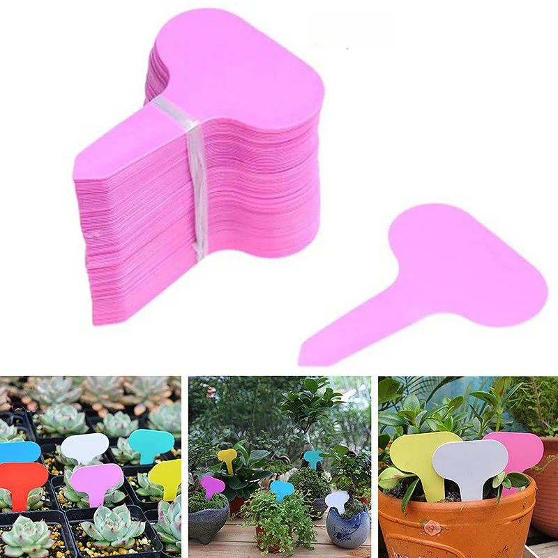 50Pcs T-shape Plant Markers Tag Garden Waterproof Recycle Succulents Pot Classification Labels Plate Board Sorting Card
50Pcs T-shape Plant Markers Tag Garden Waterproof Recycle Succulents Pot Classification Labels Plate Board Sorting Card
