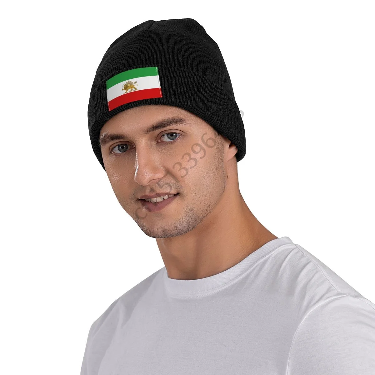 

Emblem of Iran Lion and Sun Flag Beanie Bonnet Knit Hats Men Women Cool Unisex Adult Winter Warm Skullies Beanies Cap