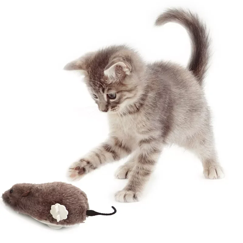 2023NEW and dog play toys mechanical sports mouse pet accessories thermal creativity interesting clockwork spring Plush mouse
2023NEW and dog play toys mechanical sports mouse pet accessories thermal creativity interesting clockwork spring Plush mouse