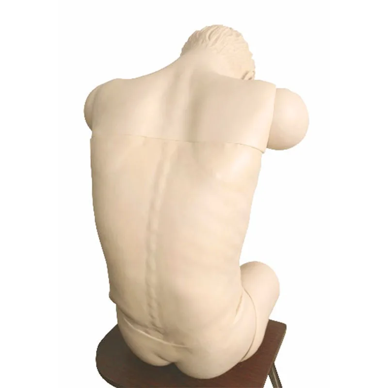 Lumbar Puncture Spinal Epidural Anesthesia Clinical Training Model Teaching Patient Simulator
Lumbar Puncture Spinal Epidural Anesthesia Clinical Training Model Teaching Patient Simulator