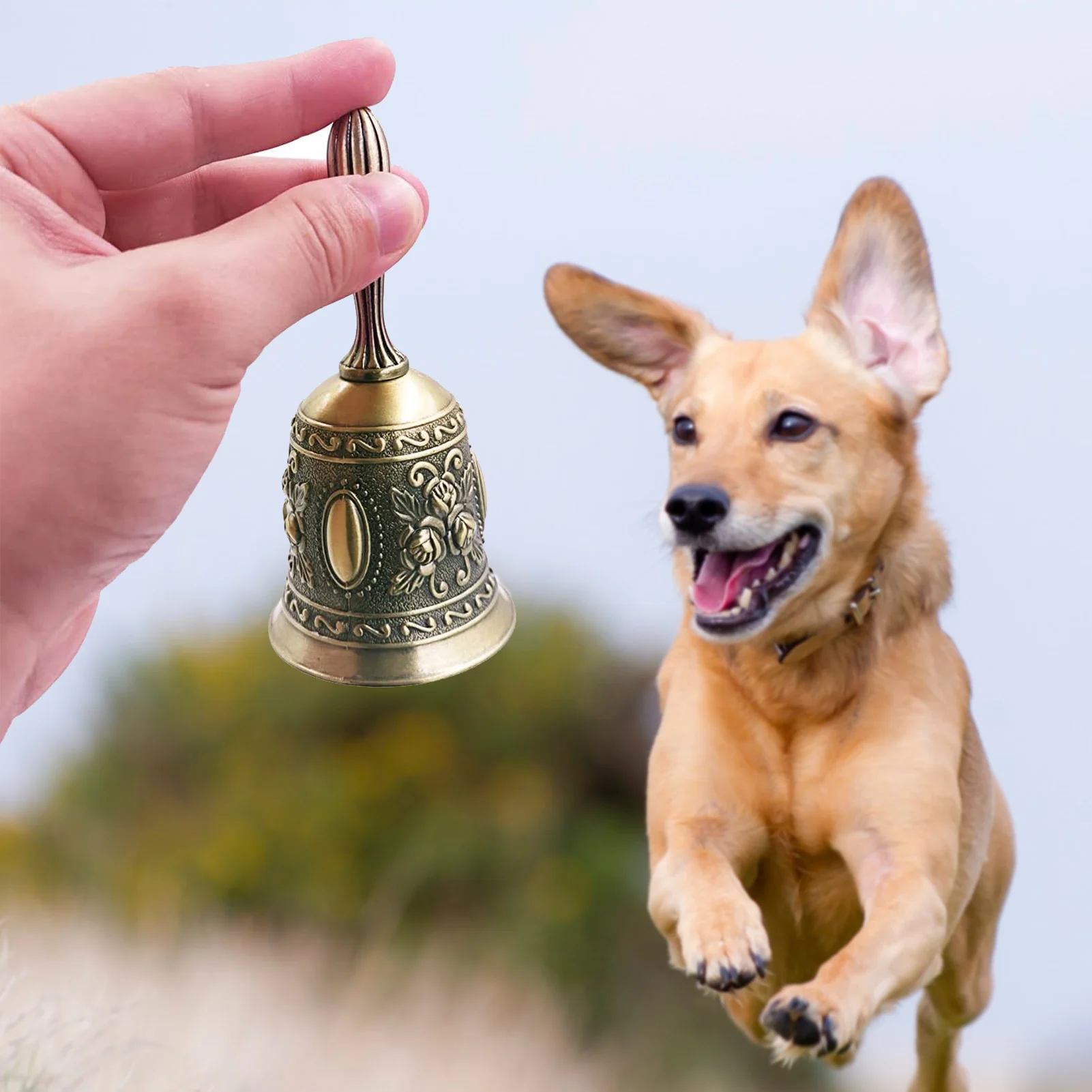 Metal Hand Bell Brass Chinese Traditional FengShui Handicraft Lucky Dinner Prayer Alarm Tibetan Buddhist Handmade Brass Bell
Metal Hand Bell Brass Chinese Traditional FengShui Handicraft Lucky Dinner Prayer Alarm Tibetan Buddhist Handmade Brass Bell