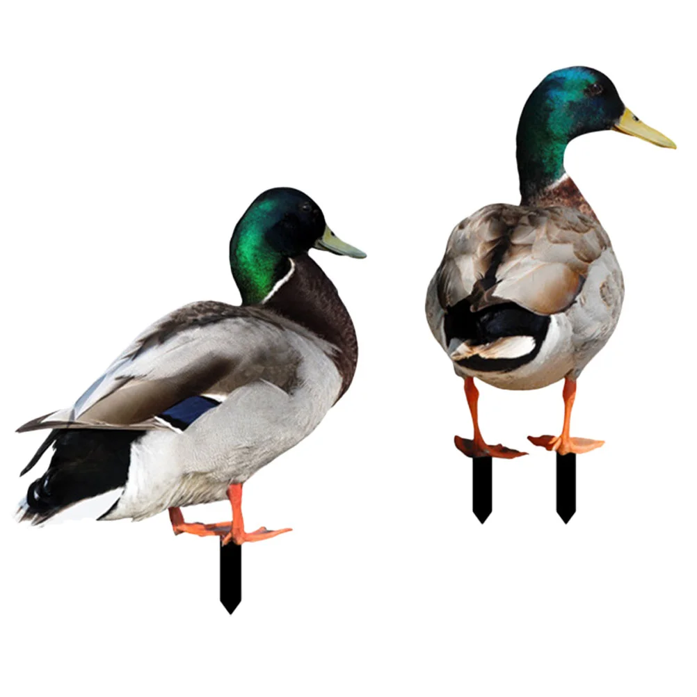 2 Pcs Acrylic Duck Stake Decoration Animal Yard Ornament Lifelike Sculpture Outdoor Ornaments The Sign Garden
2 Pcs Acrylic Duck Stake Decoration Animal Yard Ornament Lifelike Sculpture Outdoor Ornaments The Sign Garden