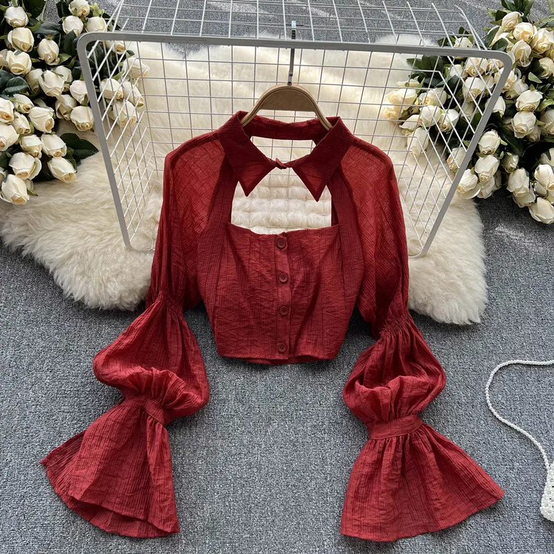 Design sense Hollow out sexy flare long sleeve shirt Autumn top Women's new short blusas mujer de moda 2022
Design sense Hollow out sexy flare long sleeve shirt Autumn top Women's new short blusas mujer de moda 2022