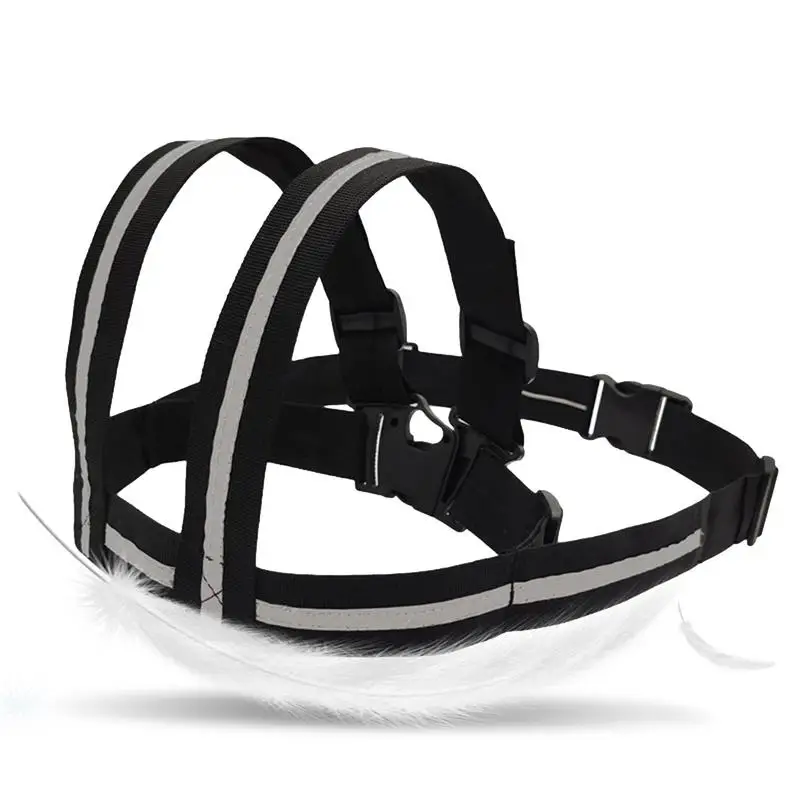 Motorcycle Safety Belt For Kids Adjustable Child Motorcycle Safety Seat Belt With Handles Reflective Strip Adjustable Non-Slip
Motorcycle Safety Belt For Kids Adjustable Child Motorcycle Safety Seat Belt With Handles Reflective Strip Adjustable Non-Slip