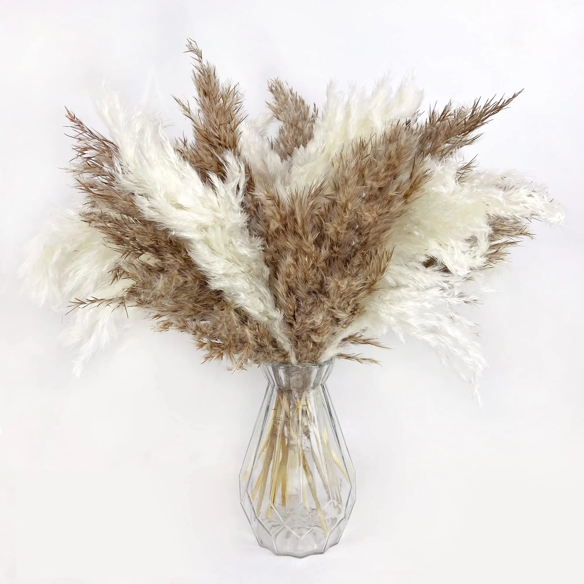 30pcs Dried Flower Nature Fluffy Pampas Grass for Wedding Party Decoration Bunny Rabbit Tail Reeds Artificial Flowers Home Decor
30pcs Dried Flower Nature Fluffy Pampas Grass for Wedding Party Decoration Bunny Rabbit Tail Reeds Artificial Flowers Home Decor