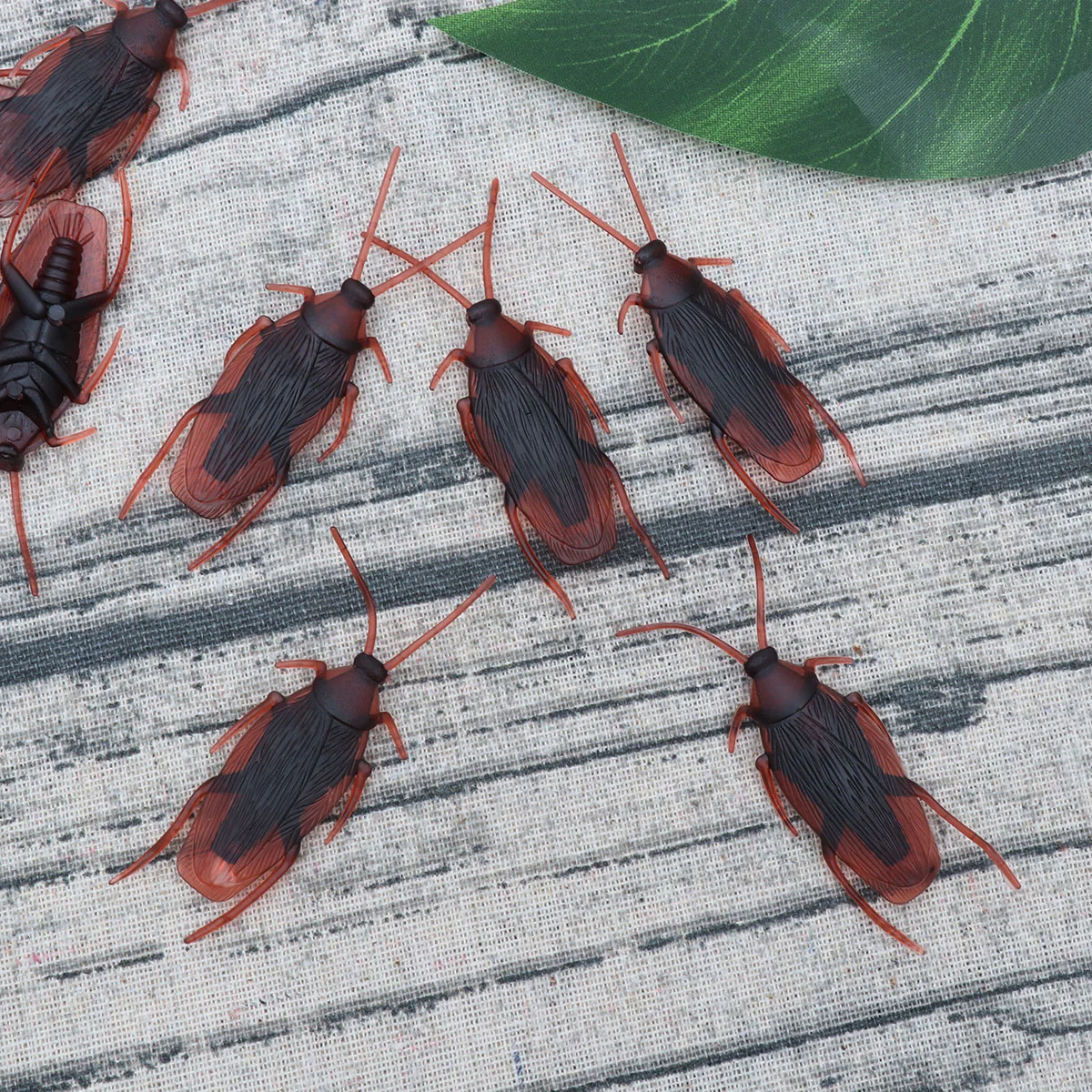 Roaches Prank Cockroaches Fake Halloweenpranks Bugs Roachnovelty Realistic Lifelike Fools April Adults Bulk Simulation Prop Faux
Roaches Prank Cockroaches Fake Halloweenpranks Bugs Roachnovelty Realistic Lifelike Fools April Adults Bulk Simulation Prop Faux