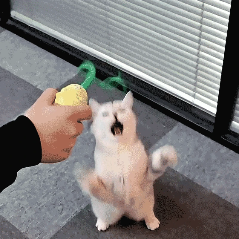 Funny Cat Toy Simulation Tail USB Charging Automatic Control Electric Funny Cat Pet Toy with Remote Control Pet Toys Cat Toys
Funny Cat Toy Simulation Tail USB Charging Automatic Control Electric Funny Cat Pet Toy with Remote Control Pet Toys Cat Toys