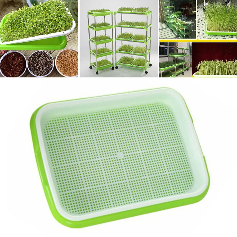 Tray Nursery Pots Soybean Sprout Sprouter Tool Vegetables Buckwheat Double Layer Garden Germination Greenhouse
Tray Nursery Pots Soybean Sprout Sprouter Tool Vegetables Buckwheat Double Layer Garden Germination Greenhouse