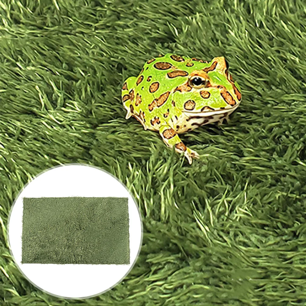 Reptile Terrarium Liner Reusable Pet Carpet Fake Moss Carpet for Pets Reptile Accessory
Reptile Terrarium Liner Reusable Pet Carpet Fake Moss Carpet for Pets Reptile Accessory