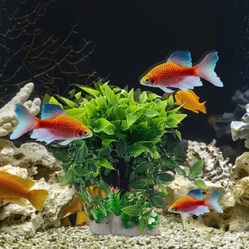 Aquarium Plants Realistic Useful Pedestal Design For Most Occasions Eye-catching Decor Useful Pedestal Design And Saltwater 
Aquarium Plants Realistic Useful Pedestal Design For Most Occasions Eye-catching Decor Useful Pedestal Design And Saltwater