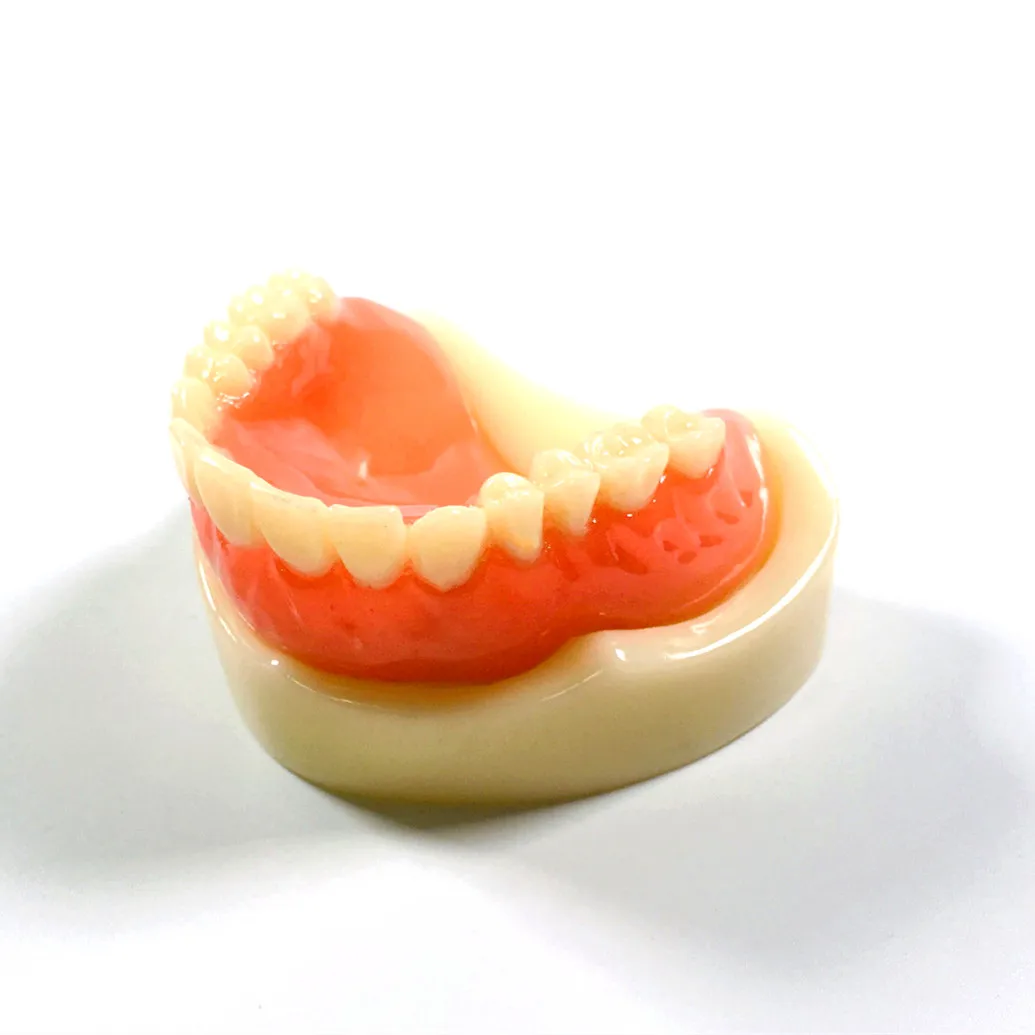 1Pcs Dental Teaching Model Full Denture Model Magnetic Attachment Only Upper Denture Study Teach Model Upper Denture
1Pcs Dental Teaching Model Full Denture Model Magnetic Attachment Only Upper Denture Study Teach Model Upper Denture