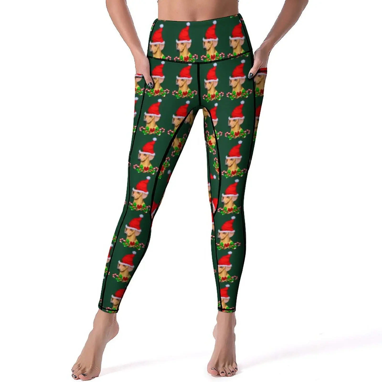 

Cute Dachshund Leggings Sexy Christmas Print Push Up Yoga Pants Elegant Stretch Leggins Lady Custom Gym Sports Tights