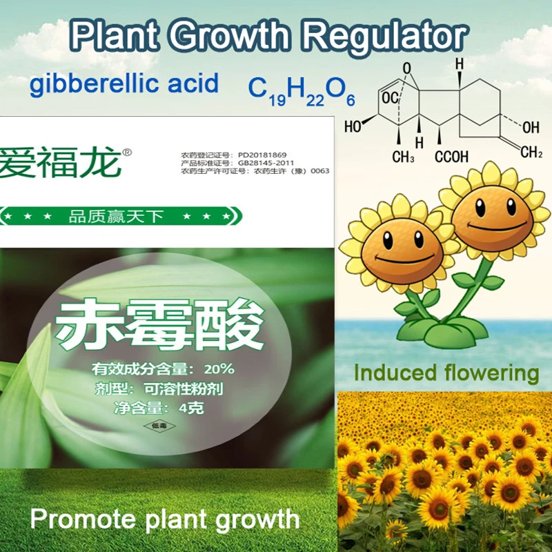 4Gram/bag GA3 Gibberellic Acid 920 Plant Growth Regulator Break Sleep Fertilizer Increase Production For Home Garden Bonsai Use
4Gram/bag GA3 Gibberellic Acid 920 Plant Growth Regulator Break Sleep Fertilizer Increase Production For Home Garden Bonsai Use