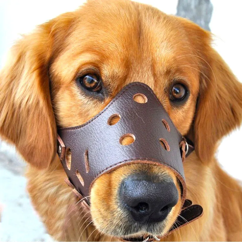 

Large Soft Muzzle For Muzzle Secure Small Ea Drinking Pet Adjustable Breathable Dogs Anti-biting Leather Dogs Allows