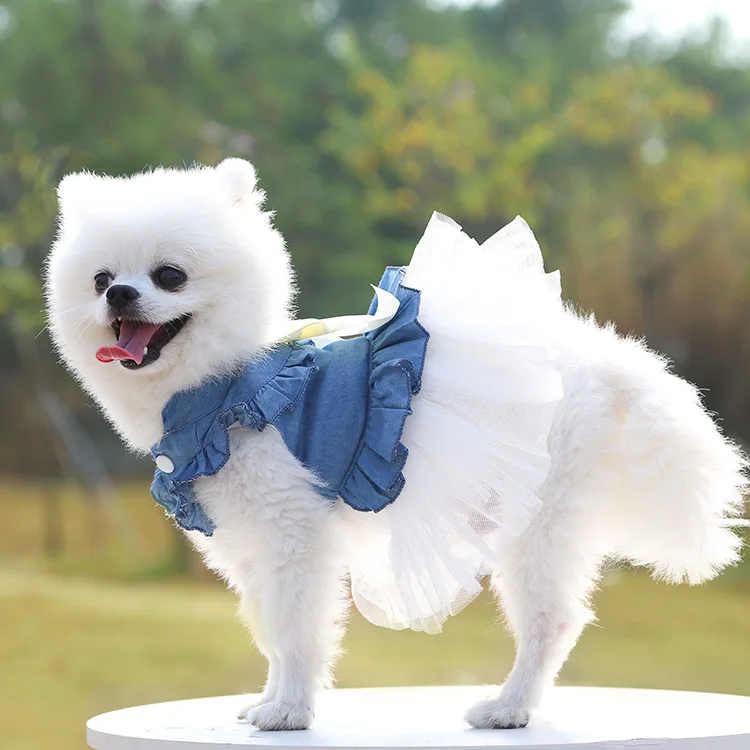 Pink Dog Dress Clothes for Small Dogs Chihuahua Stripe Dress Skirt Puppy Cat Princess Clothes Costume Pet Supplies Wholesale
Pink Dog Dress Clothes for Small Dogs Chihuahua Stripe Dress Skirt Puppy Cat Princess Clothes Costume Pet Supplies Wholesale