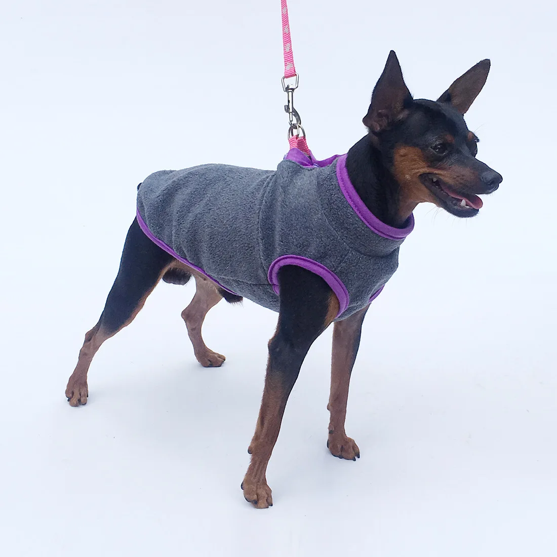 Luxury Dog Clothes Spring Autumn Winter Pet Sweater (sleeveless) Light Fleece Big Ears Dog Schnauzer Pet Clothes Puppy Supplies
Luxury Dog Clothes Spring Autumn Winter Pet Sweater (sleeveless) Light Fleece Big Ears Dog Schnauzer Pet Clothes Puppy Supplies