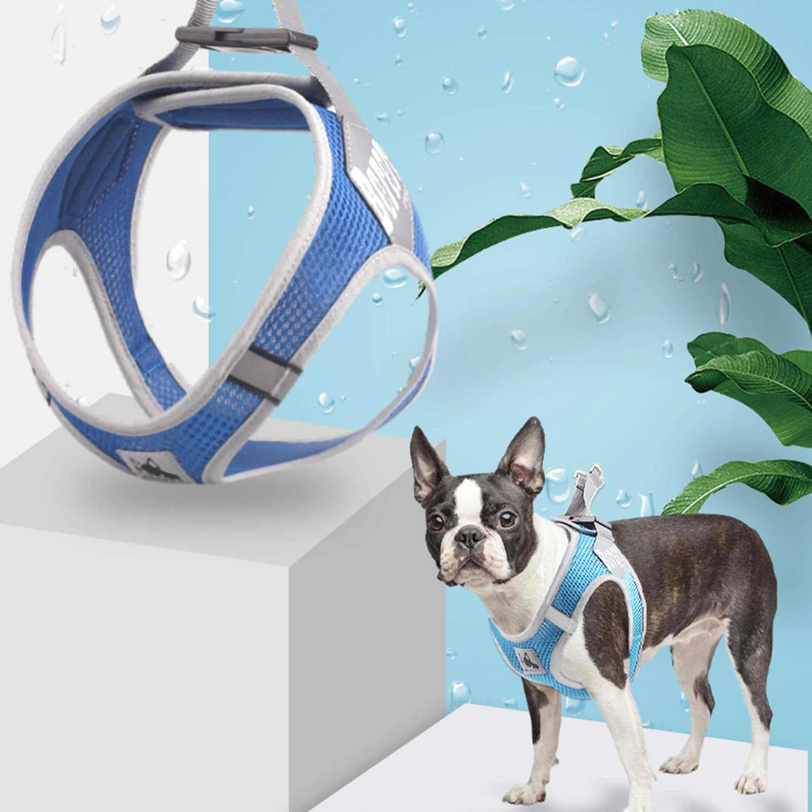 Dog Harness Soft Step In Breathable Mesh Pet Walking Vest Harness
Dog Harness Soft Step In Breathable Mesh Pet Walking Vest Harness