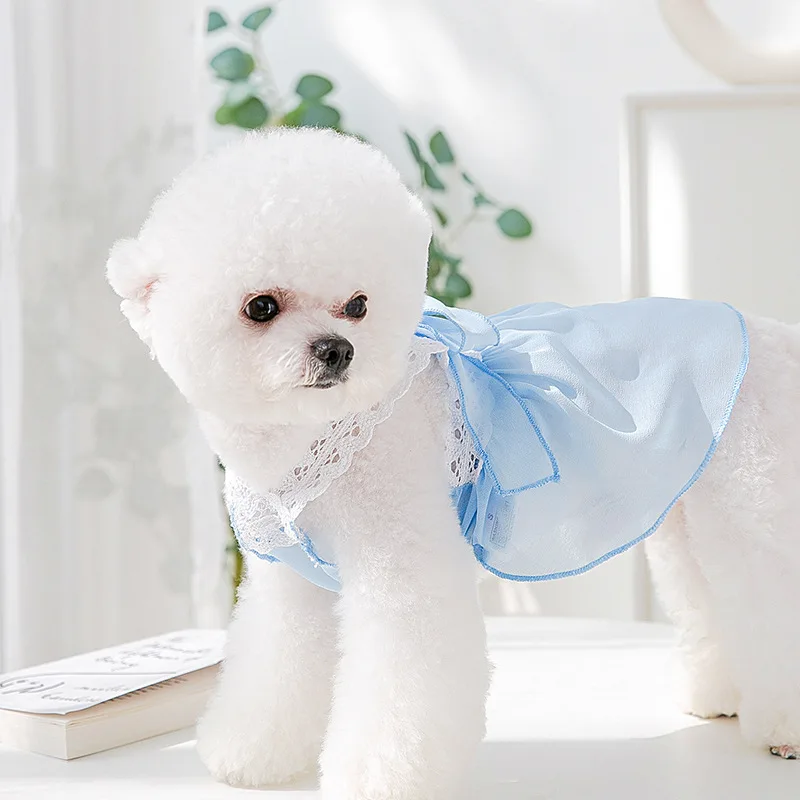 Solid Color Suspender Skirt Cute Dog Clothes Girl Dresses Pet For Small Dog Princess Cat Costumes For Cats Puppy Luxury Clothing
Solid Color Suspender Skirt Cute Dog Clothes Girl Dresses Pet For Small Dog Princess Cat Costumes For Cats Puppy Luxury Clothing