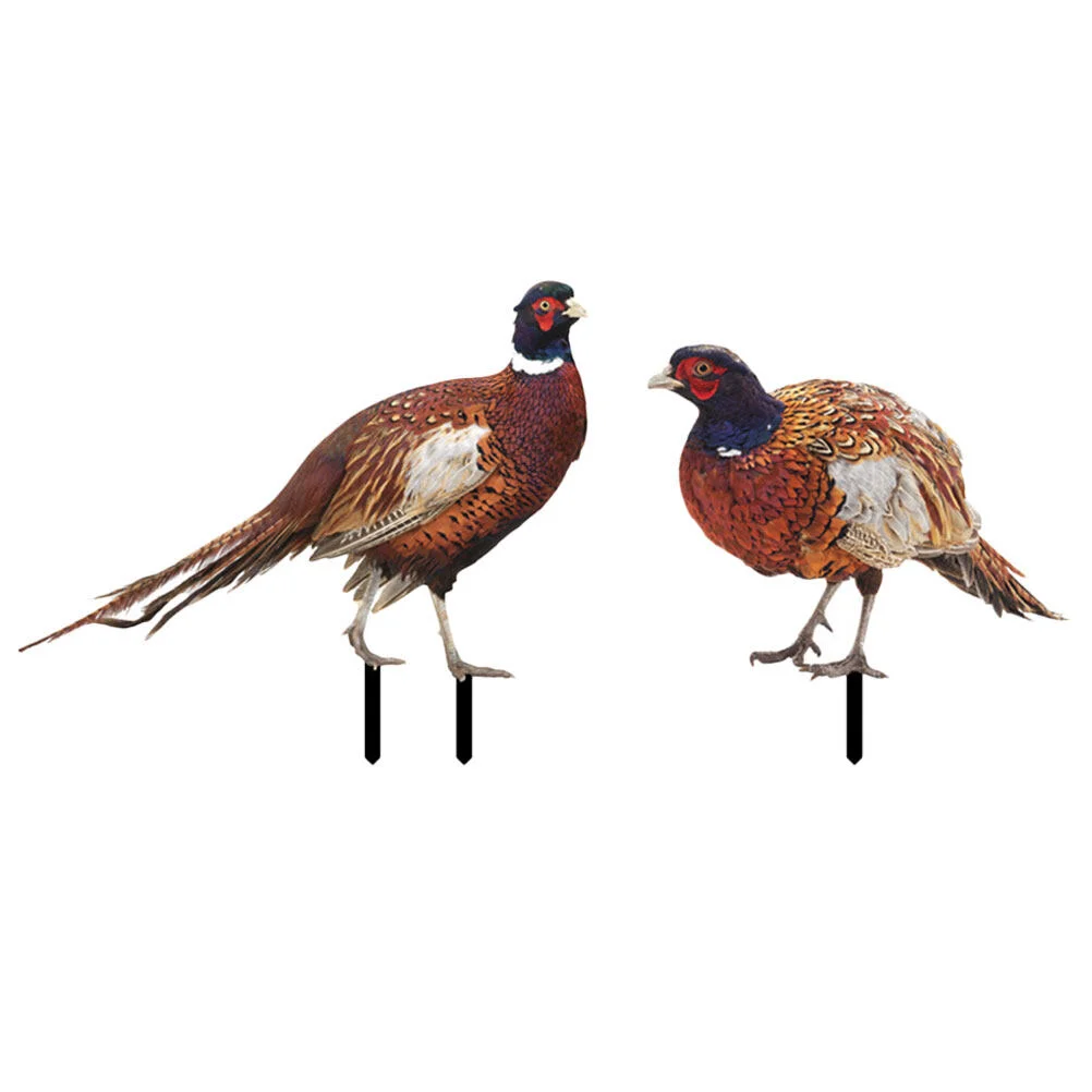 

2 Pcs Pheasant Garden Decoration Outdoor Statues Yard Sign Stake Yards Acrylic Hen Adornment Ground Inserted Lawn