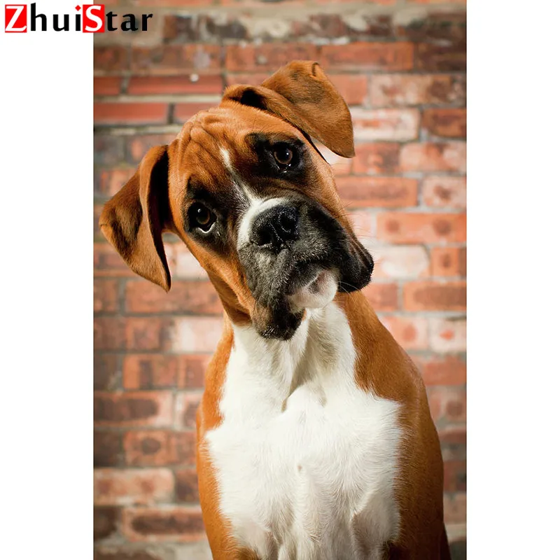 DIY Diamond Painting Cute-dog Full Square Diamond Embroidery Cross Stitch Mosaic Home Decoration WHH
DIY Diamond Painting Cute-dog Full Square Diamond Embroidery Cross Stitch Mosaic Home Decoration WHH
