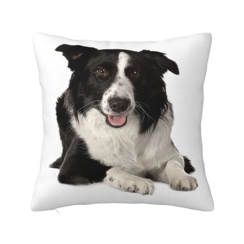 Роскошная наволочка Border Collie для домашних животных, подарок для собаки, диванная подушка
Роскошная наволочка Border Collie для домашних животных, подарок для собаки, диванная подушка