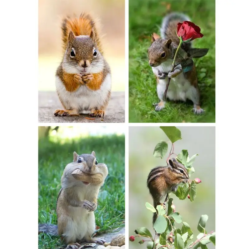 67JE 4 Pack Squirrel 5D DIY Kits Full Drill for rhinestone Embroidery for Cross Stitch Home Decor Craft
67JE 4 Pack Squirrel 5D DIY Kits Full Drill for rhinestone Embroidery for Cross Stitch Home Decor Craft