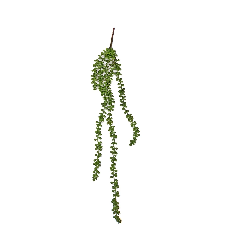 Artificial Fake Plant String Pearls Chain Wall Hanging Ornament Succulent Hanger
Artificial Fake Plant String Pearls Chain Wall Hanging Ornament Succulent Hanger