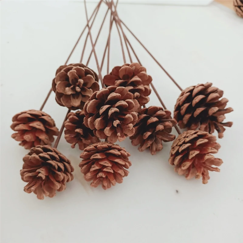 10pcs/Bundle Artificial Plants Fake Dried Pine Cone for Home Christmas Garland Wreath Wedding Party Decor
10pcs/Bundle Artificial Plants Fake Dried Pine Cone for Home Christmas Garland Wreath Wedding Party Decor