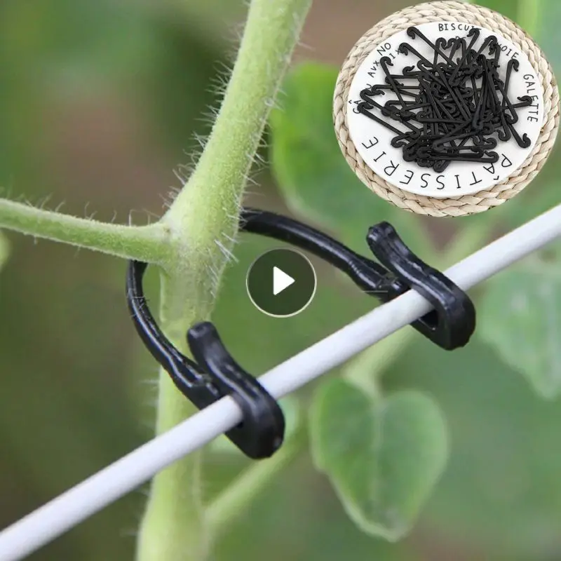 50/100pcs Plastic Plant Fixator Connects Reusable Protection Grafting Fixing Tools For Vegetable Tomato Gardening Supplies
50/100pcs Plastic Plant Fixator Connects Reusable Protection Grafting Fixing Tools For Vegetable Tomato Gardening Supplies