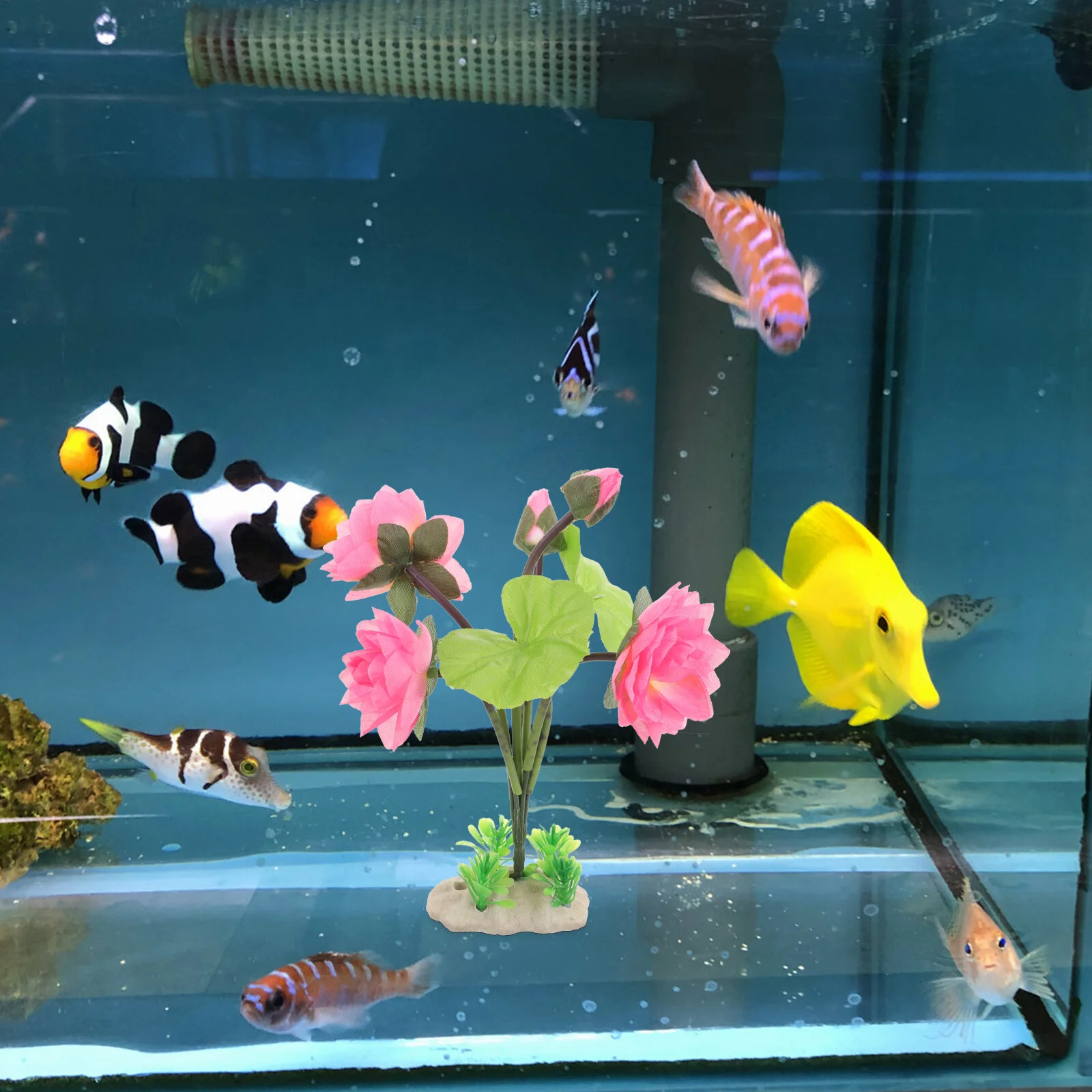 Lotus Tank Aquarium Flower Artificial Flowers Lily Landscape Stem Underwater Decorations Turtle Plastic Simulation Aquatic 
Lotus Tank Aquarium Flower Artificial Flowers Lily Landscape Stem Underwater Decorations Turtle Plastic Simulation Aquatic