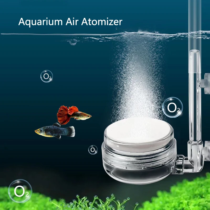 1Pcs Air Pump Sand Stone Aquarium Oxygen Pump Fresh Air Stone Nano Bubble Bar Aquarium Fish Tank Aerator Pump with Suction Cup 
1Pcs Air Pump Sand Stone Aquarium Oxygen Pump Fresh Air Stone Nano Bubble Bar Aquarium Fish Tank Aerator Pump with Suction Cup