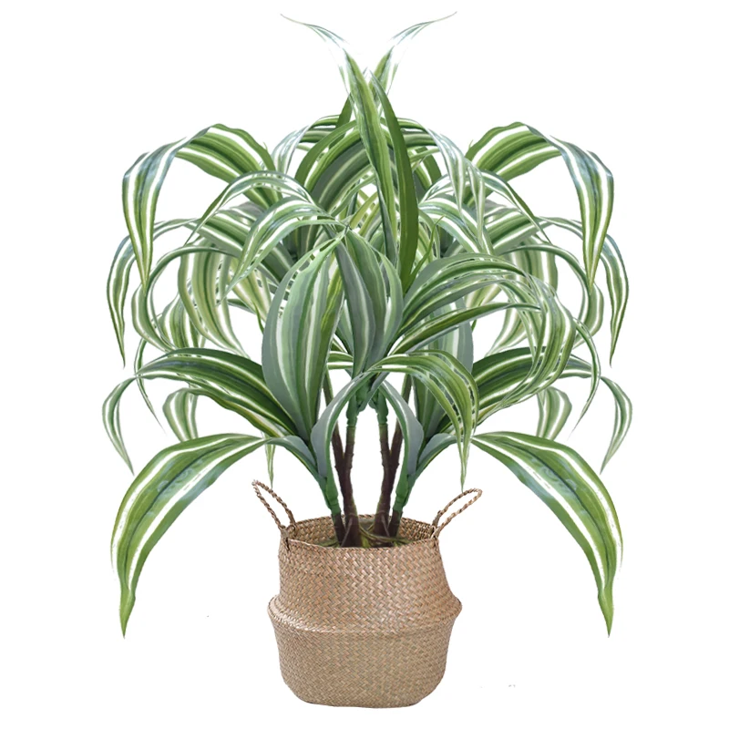 40cm 3Fork Air Grass Artificial Plant Branch Tropical Gladiolus Tree Plastic Leafs Green Small Bamboo For Home Garden Wall Decor 
40cm 3Fork Air Grass Artificial Plant Branch Tropical Gladiolus Tree Plastic Leafs Green Small Bamboo For Home Garden Wall Decor