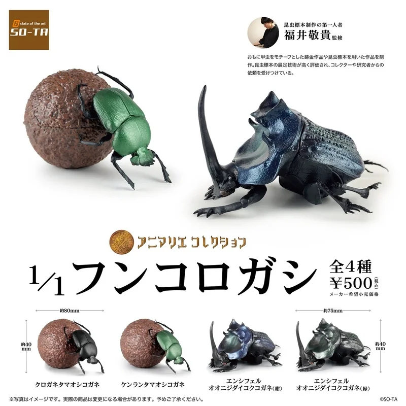 SO-TA Gashapon Capsule Toy 1/1 Oversized Simulation Model Beetle Dung Beetle Insect Table Ornaments Model Toy Kids Gifts
SO-TA Gashapon Capsule Toy 1/1 Oversized Simulation Model Beetle Dung Beetle Insect Table Ornaments Model Toy Kids Gifts