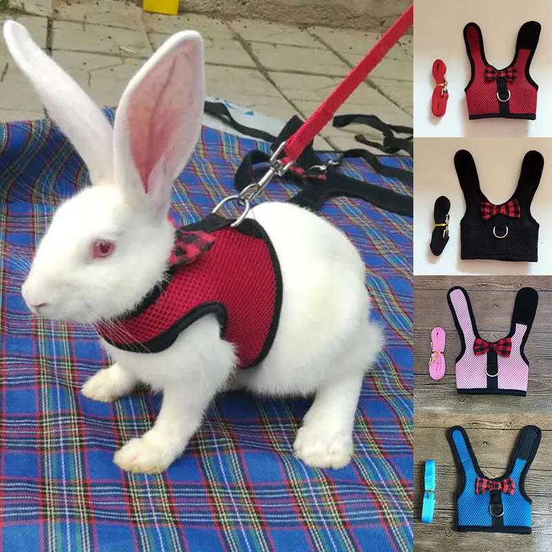 

Pet Accessories Rabbit Harnesses Vest Leashes Set Soft Mesh Harness with Leash Small Animal Guinea Pig Hamsters Bunny Accessorie