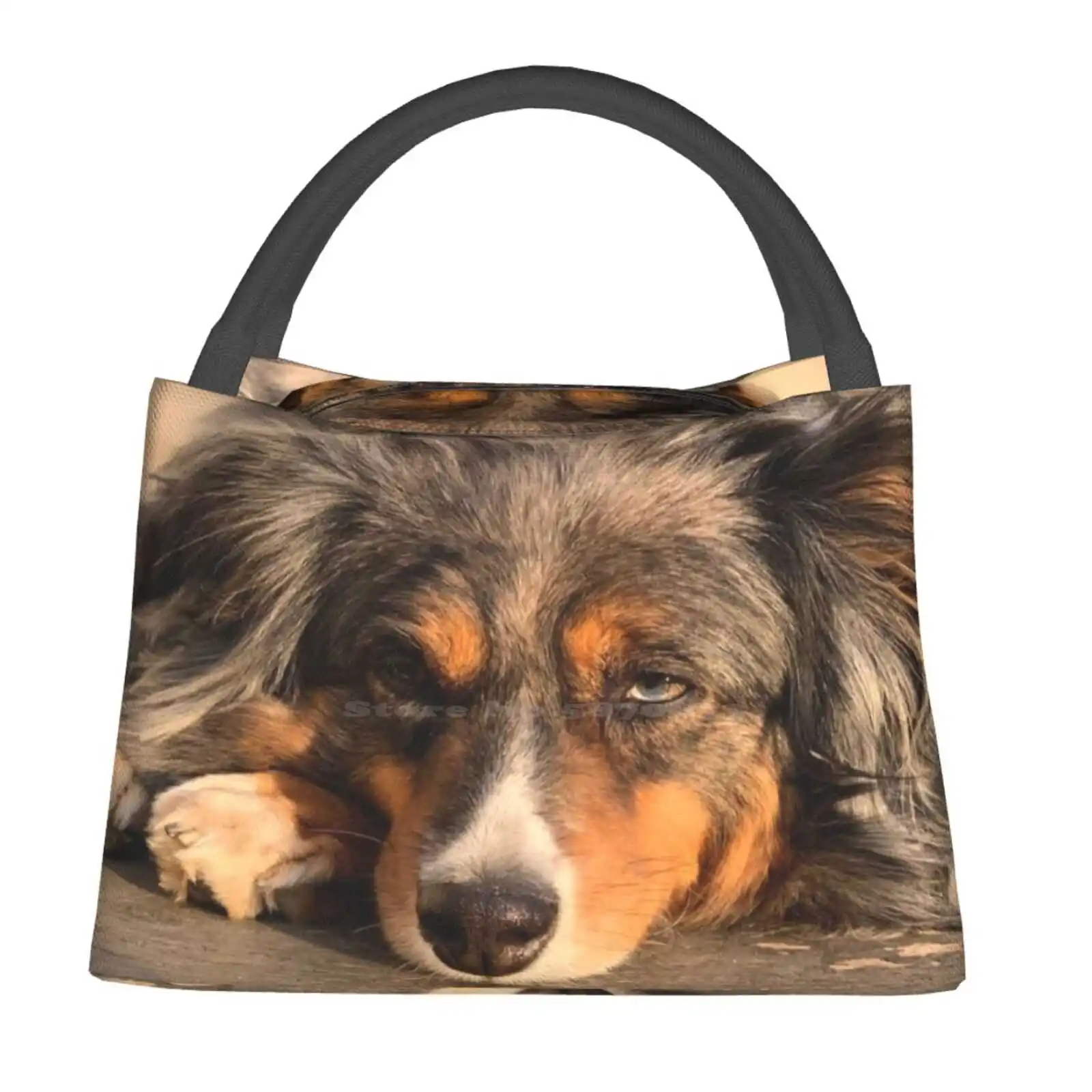 Изолированная мини-сумка для путешествий, ланча, пикника, ужина, школьная мини-сумка для собак
Изолированная мини-сумка для путешествий, ланча, пикника, ужина, школьная мини-сумка для собак