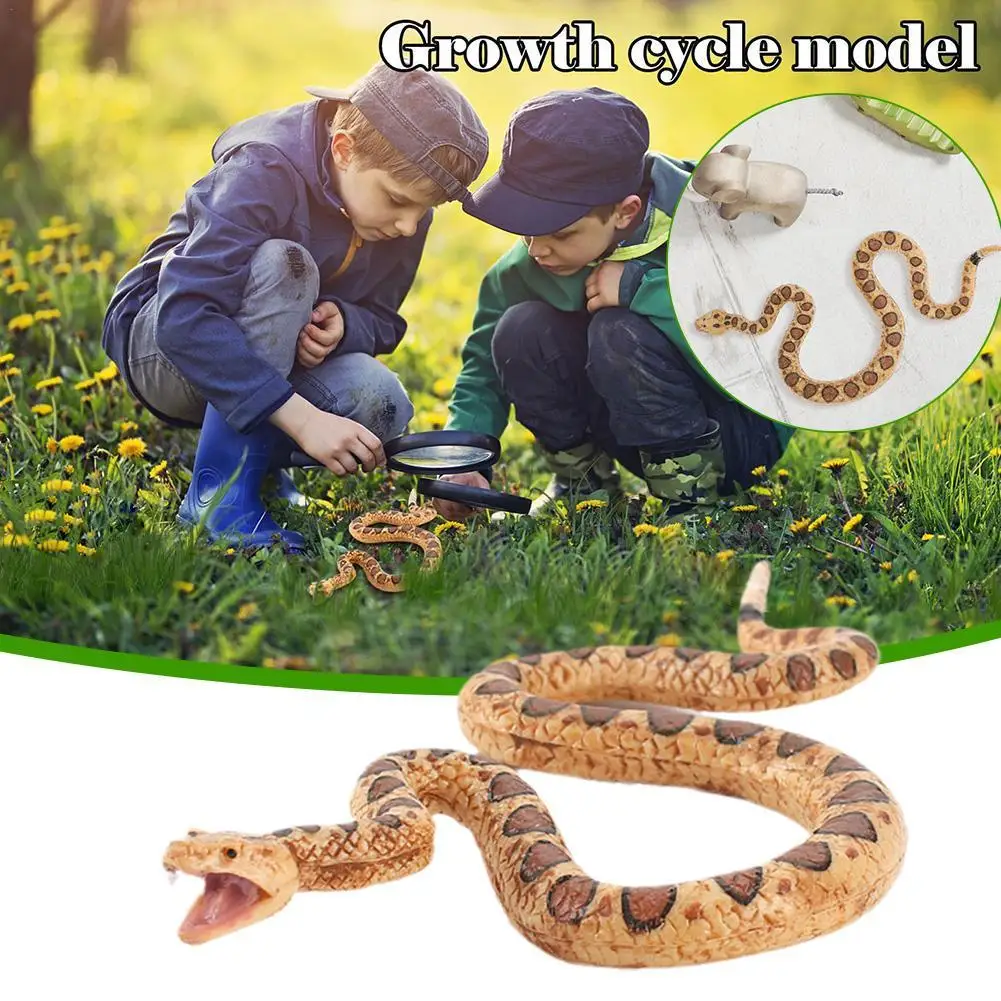

Simulation Python Model Realistic Rubber Fake Snake Toys Halloween Party Scary Tricky Creepy Prank Props