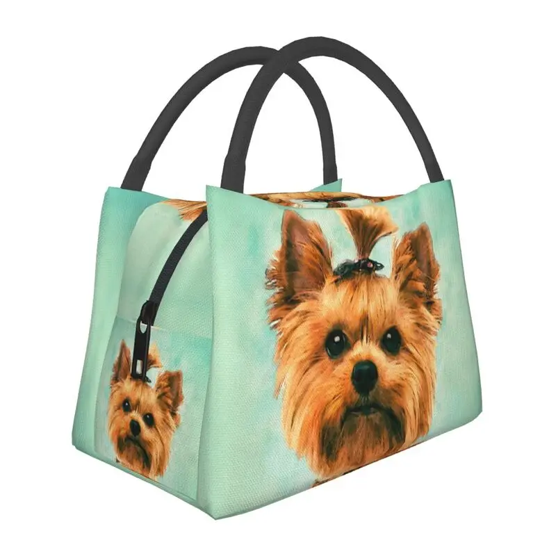 Hand-held insulated refrigerated simple style lunch bag is convenient attractive, cute, suitable for family friends picnics
Hand-held insulated refrigerated simple style lunch bag is convenient attractive, cute, suitable for family friends picnics