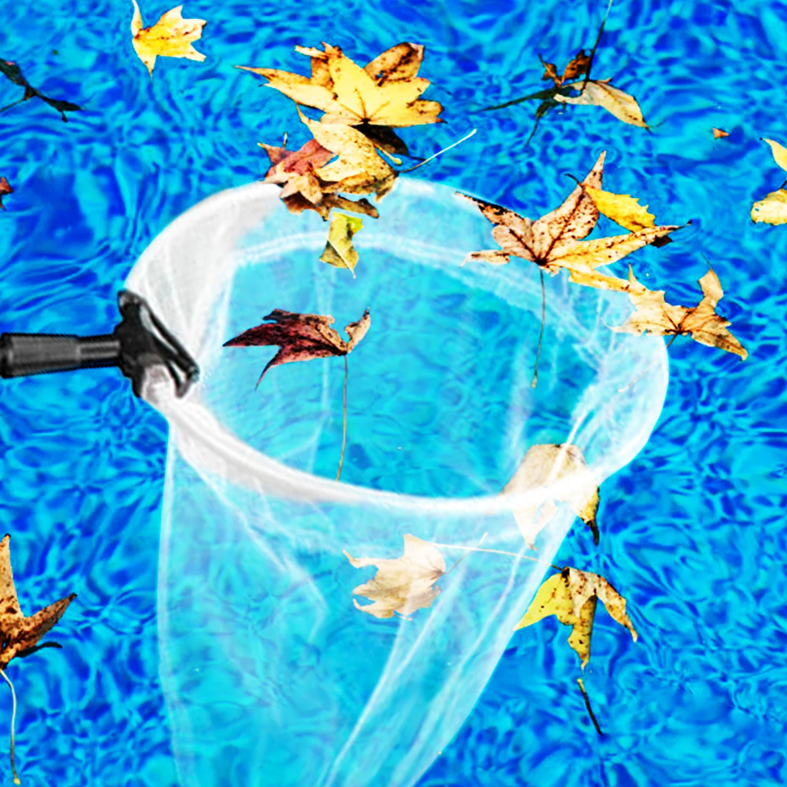 Telescopic Butterfly Net Telescopic Butterfly Nets Detachable Fishing Mesh Bag Aluminum Alloy Pole Insect Circular Nets For Kids
Telescopic Butterfly Net Telescopic Butterfly Nets Detachable Fishing Mesh Bag Aluminum Alloy Pole Insect Circular Nets For Kids