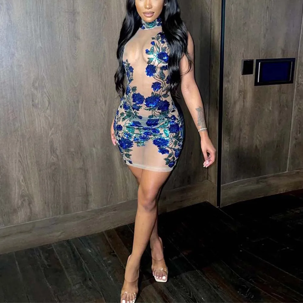 Sexy Sequined Dresses for Women Transparent Sleeveless Round Neck Mini Length Bodycon Evening Night Party Club Vestidos Mujer
Sexy Sequined Dresses for Women Transparent Sleeveless Round Neck Mini Length Bodycon Evening Night Party Club Vestidos Mujer