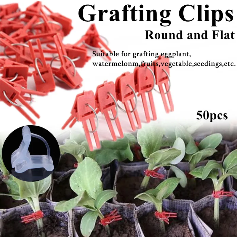 50pcs/5pcs Graft Clips Round Flat Home & Garden Support Vegetable Plastic Reusable Tool Agriculture Fixture clamp Plant Bender
50pcs/5pcs Graft Clips Round Flat Home & Garden Support Vegetable Plastic Reusable Tool Agriculture Fixture clamp Plant Bender