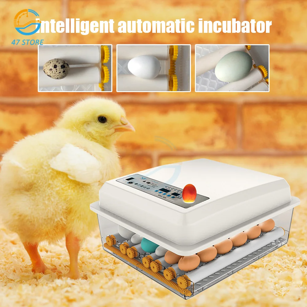 

1Set Egg Incubator Brooder Chicken Fully Automatic Incubator Farm Bird Quail Goose Hatchery 36 Eggs Incubator Poultry Hatcher