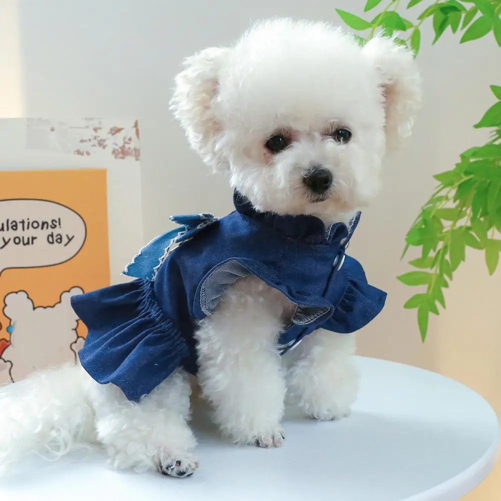 Pet Dress with Bowknot Decoration Cute Stylish Pet Dress for Dogs Stylish Pet Dress Charming Denim Outfit for Dogs for Small
Pet Dress with Bowknot Decoration Cute Stylish Pet Dress for Dogs Stylish Pet Dress Charming Denim Outfit for Dogs for Small
