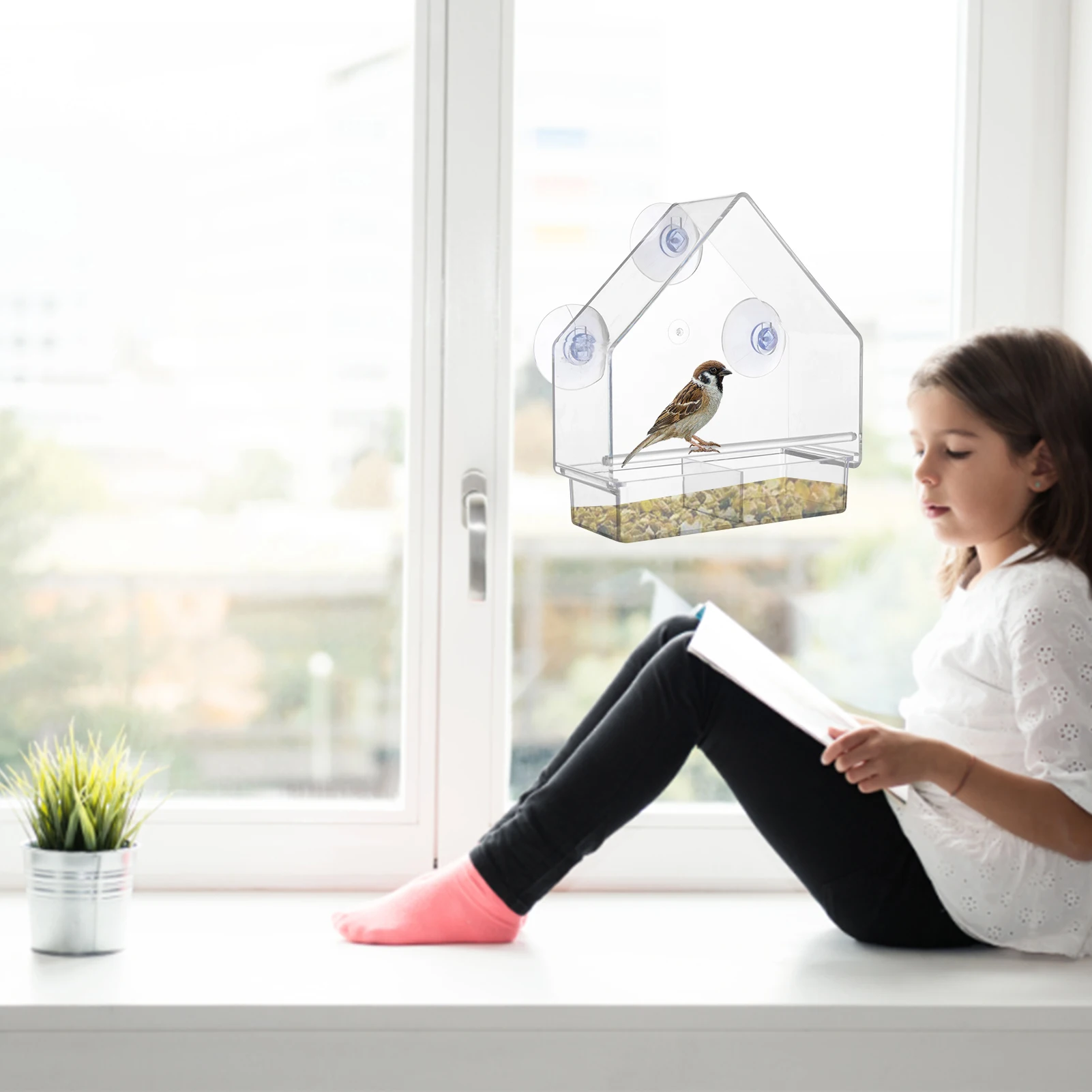 Acrylic Window Bird Feeder Bird Feeder With Strong Suction Cups Bird Watching Gifts Weatherproof Transparent Bird Feeder For
Acrylic Window Bird Feeder Bird Feeder With Strong Suction Cups Bird Watching Gifts Weatherproof Transparent Bird Feeder For