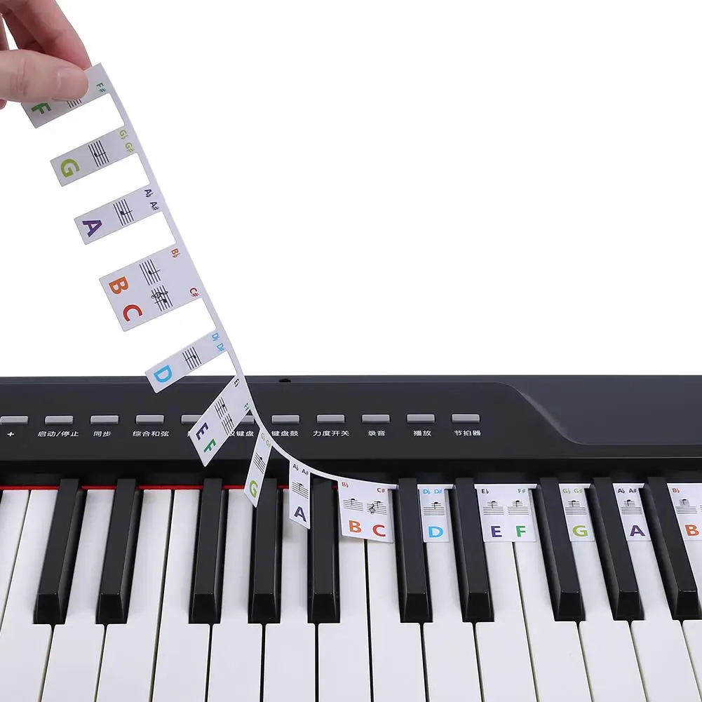 NEW 88-key / 61-key Piano Keyboard Stickers Paste-free Removable Piano Key Note Marker Overlay For Beginners
NEW 88-key / 61-key Piano Keyboard Stickers Paste-free Removable Piano Key Note Marker Overlay For Beginners