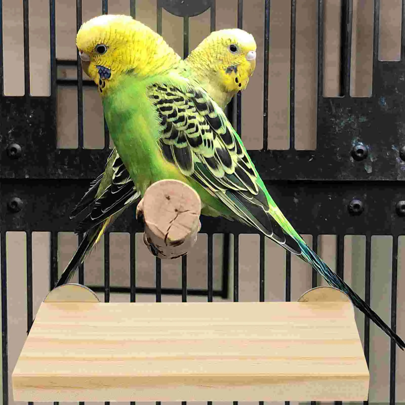 Parrot Bird Perch Stand Cage Platform Birds Standing Toys Perches Hammock Wood Hamster Training Play Parakeet Toy Accessories
Parrot Bird Perch Stand Cage Platform Birds Standing Toys Perches Hammock Wood Hamster Training Play Parakeet Toy Accessories