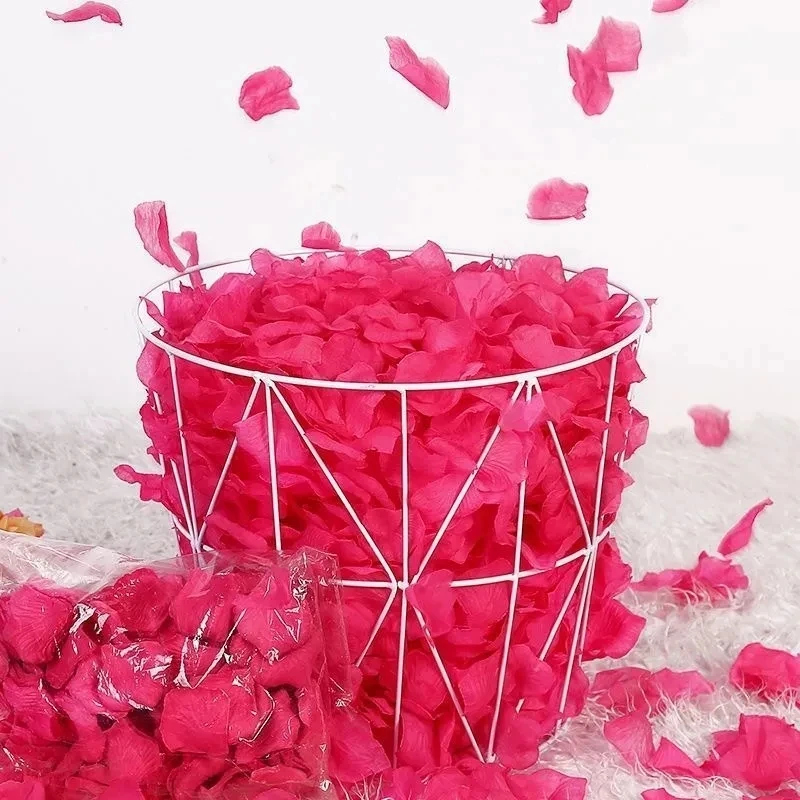 500Pcs 5*5CM Silk Rose Petals Artificial Flower Leaves Wedding Romantic Supplies Festival Party Home Restaurant Room Decorations
500Pcs 5*5CM Silk Rose Petals Artificial Flower Leaves Wedding Romantic Supplies Festival Party Home Restaurant Room Decorations