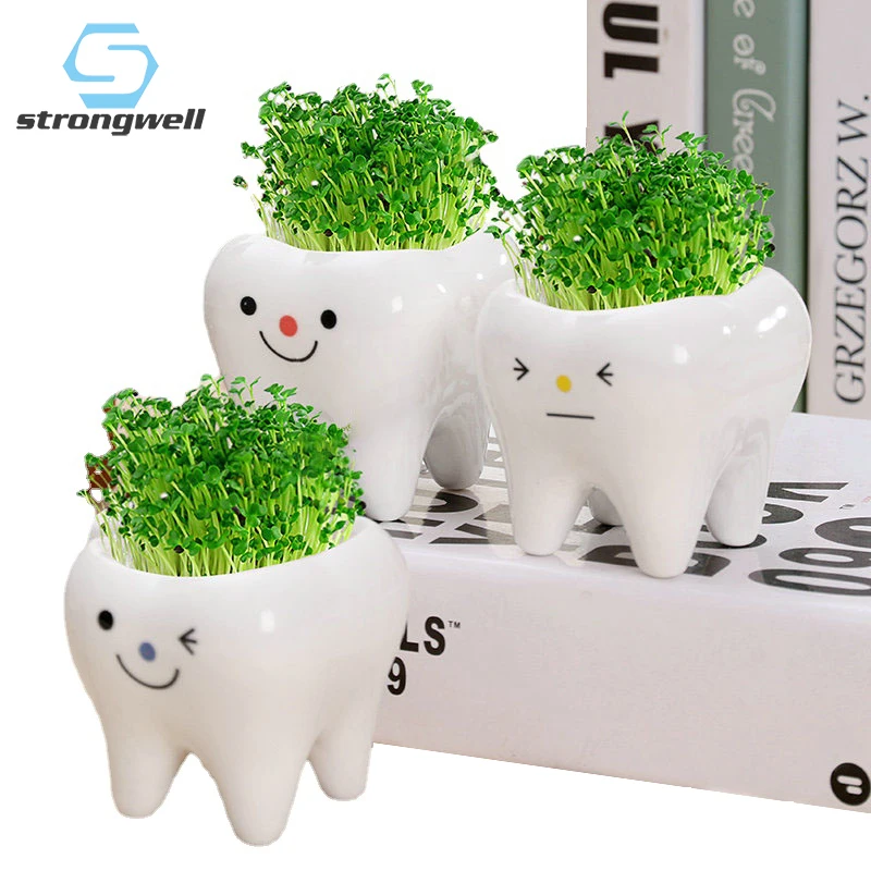 Strongwell Cartoon Tooth Potted Succulents Mini Creative Ceramic Flower Pot Home Desktop Decoration Accessories Bonsai Planter
Strongwell Cartoon Tooth Potted Succulents Mini Creative Ceramic Flower Pot Home Desktop Decoration Accessories Bonsai Planter