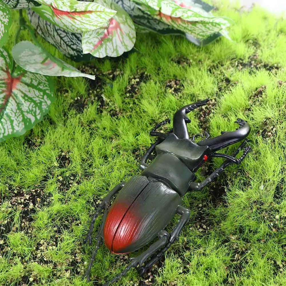 

6 Style 13cm Simulation Beetle Toys Special Lifelike Model Simulation Insect Toy Nursery Teaching Aids Joke Toys