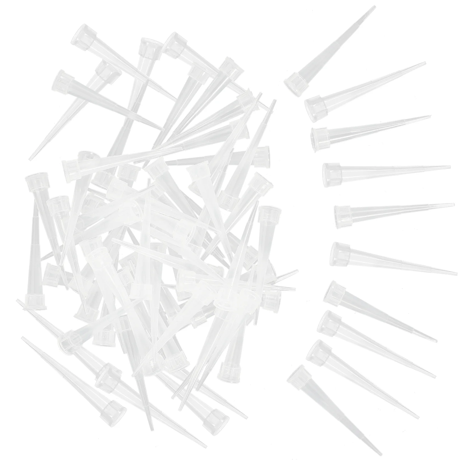 Flower Tube Holder Diy Mud Wedding Water Cake Fresh Tools Arrangement Insertedstem Bouquet Transparent Flowers Simulation Stems
Flower Tube Holder Diy Mud Wedding Water Cake Fresh Tools Arrangement Insertedstem Bouquet Transparent Flowers Simulation Stems